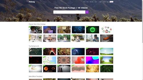 小吃爆料视频下载安装,轻松享受美食瞬间 第2张 小吃爆料视频下载安装,轻松享受美食瞬间 第2张