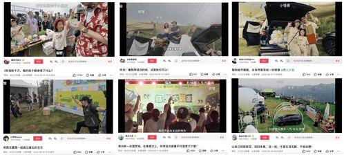 惊天爆料今日头条新闻视频,惊天爆料！今日头条新闻视频揭露惊人内幕  第2张